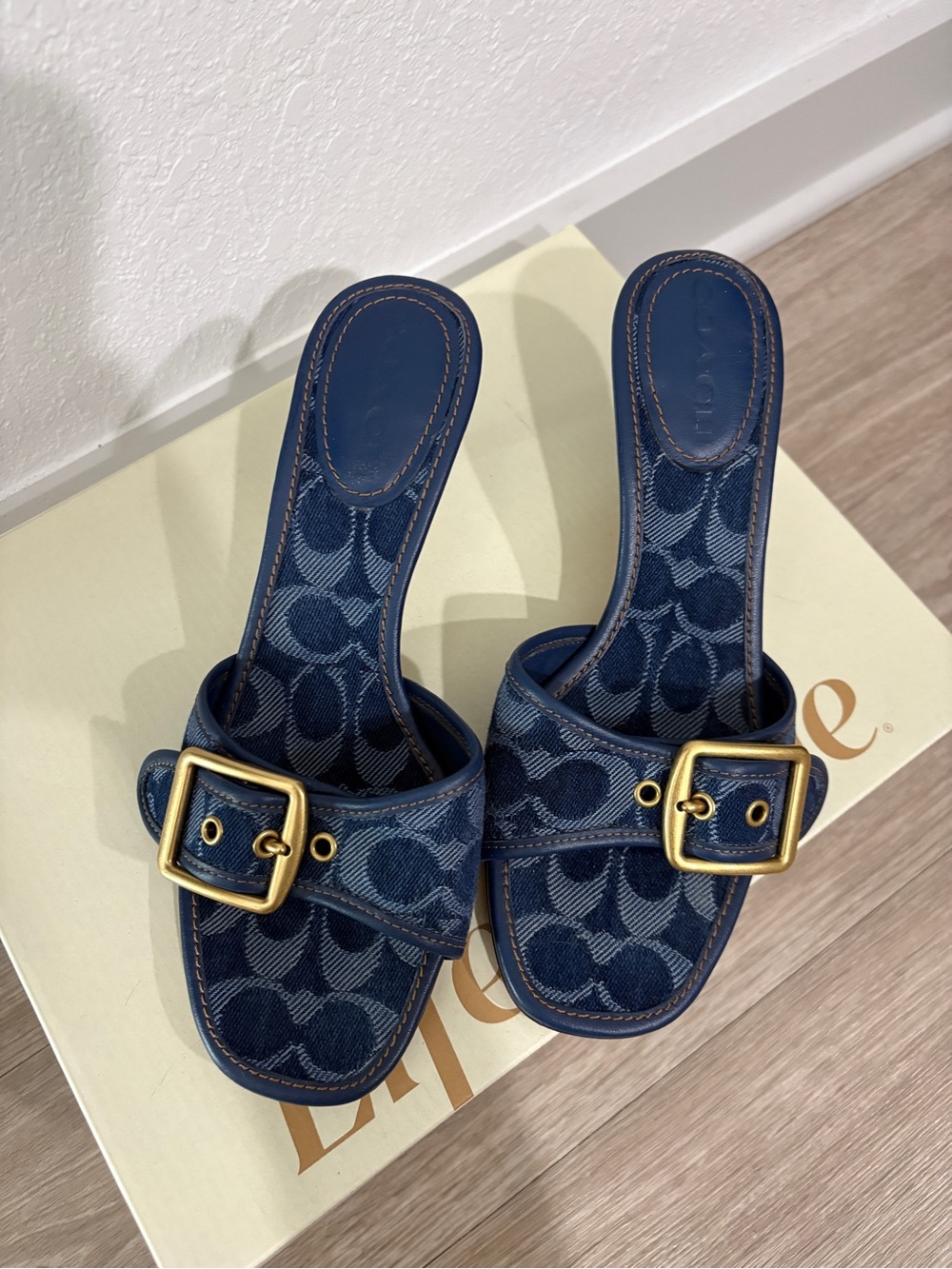 Coach Denim Kitten Heels